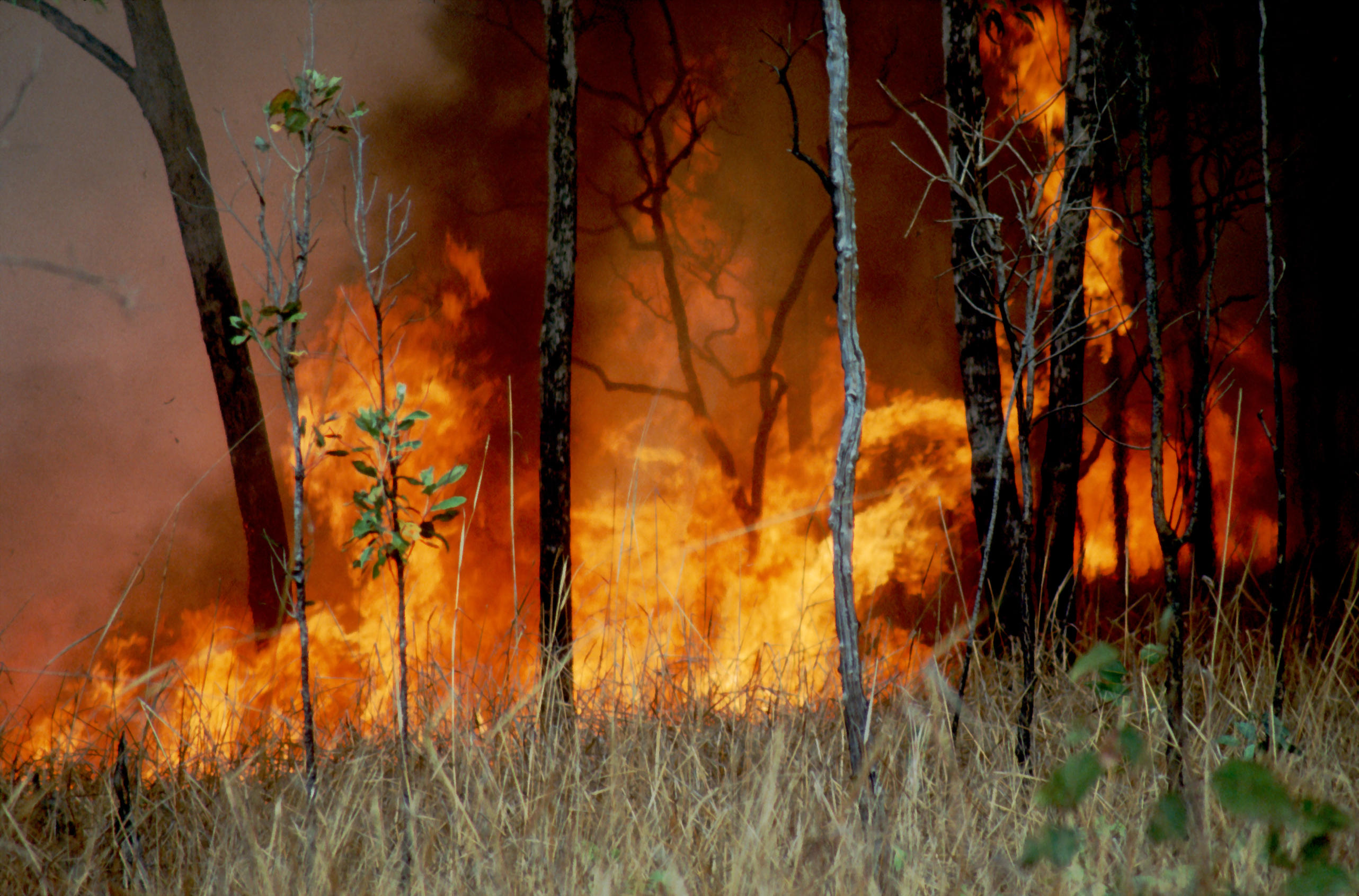 Burning as Land Management